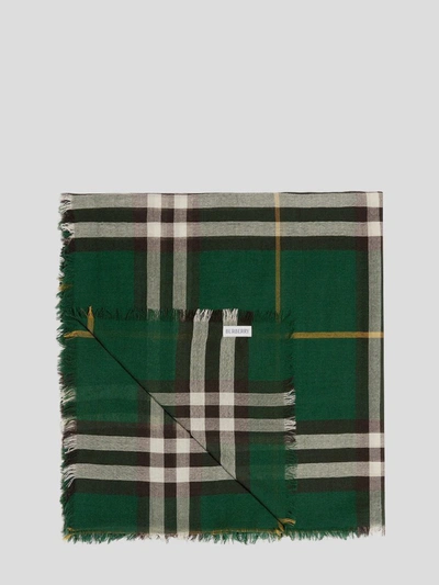 Shop Burberry Scarf In Ivy