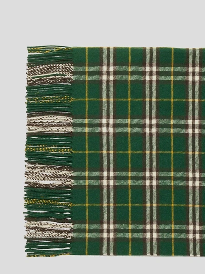 Shop Burberry Scarfs In Ivy