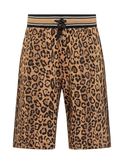 Shop Dolce & Gabbana Bermuda Shorts In Brown/black