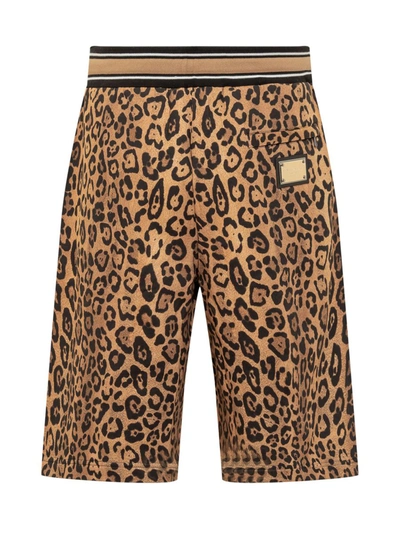 Shop Dolce & Gabbana Bermuda Shorts In Brown/black