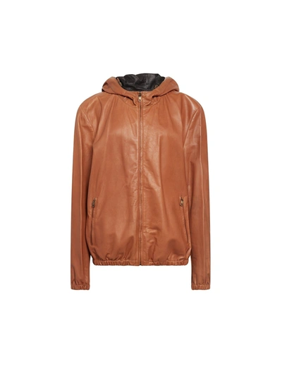 Shop Dolce & Gabbana Leather Hooded Jacket In Brown