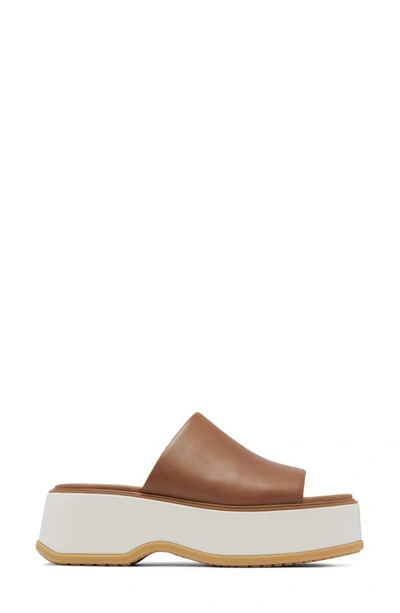 Shop Sorel Dayspring Platform Slide Sandal In Velvet Tan/ Chalk