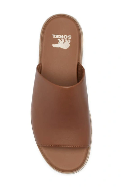 Sorel Dayspring Platform Slide Sandal In Brown