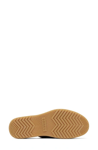 Shop Sorel Dayspring Platform Slide Sandal In Velvet Tan/ Chalk