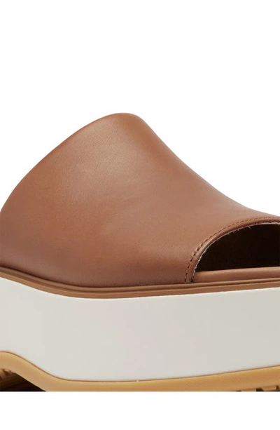 Sorel Dayspring Platform Slide Sandal In Brown