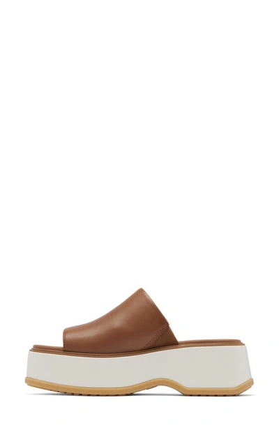 Shop Sorel Dayspring Platform Slide Sandal In Velvet Tan/ Chalk