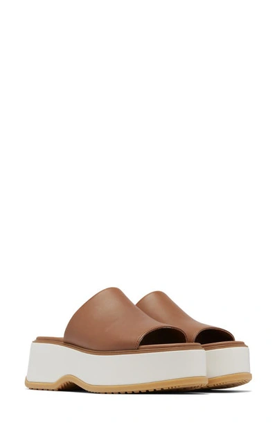 Shop Sorel Dayspring Platform Slide Sandal In Velvet Tan/ Chalk