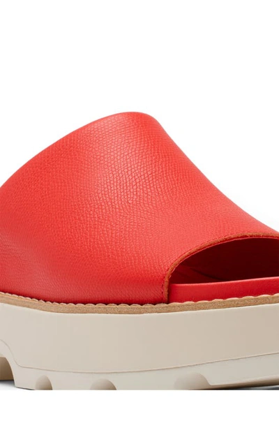 Shop Sorel Joanie Iv Slide Wedge Sandal In Red Glo/ Sea Salt