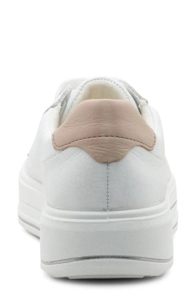 Shop Ara Carol Sneaker In White