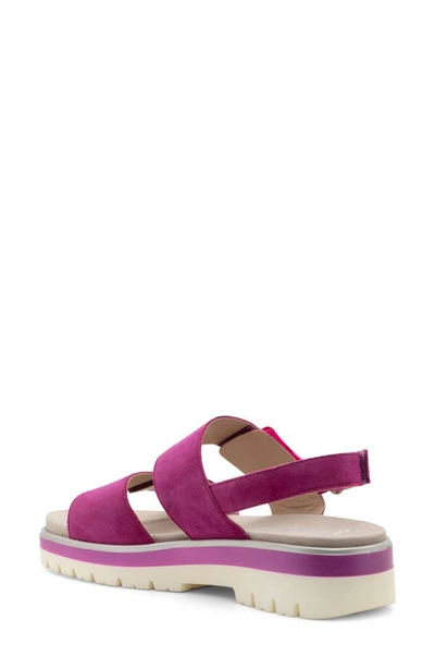 Shop Ara Marbella Sandal In Pink