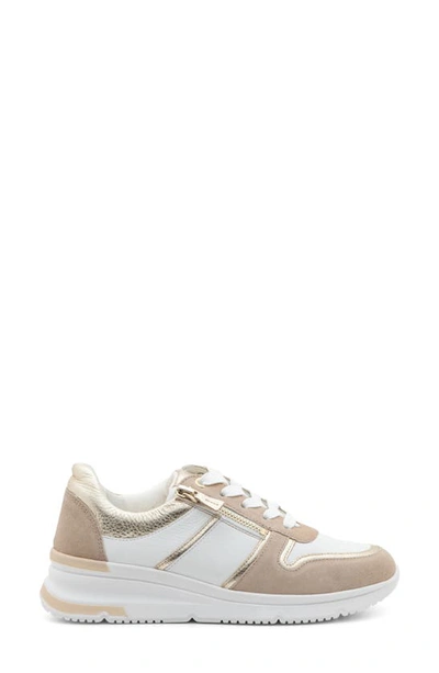 Shop Ara Nevada 3 Wedge Sneaker In White Sand Platinum