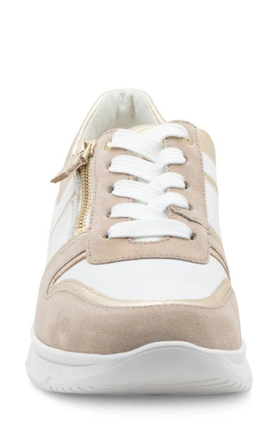 Shop Ara Nevada 3 Wedge Sneaker In White Sand Platinum