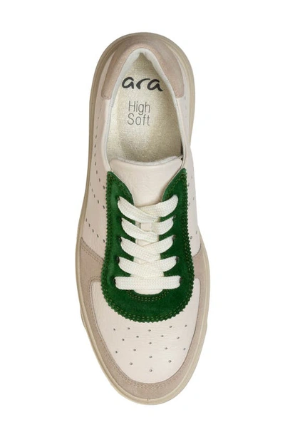Ara Calgary Platform Sneaker In Green