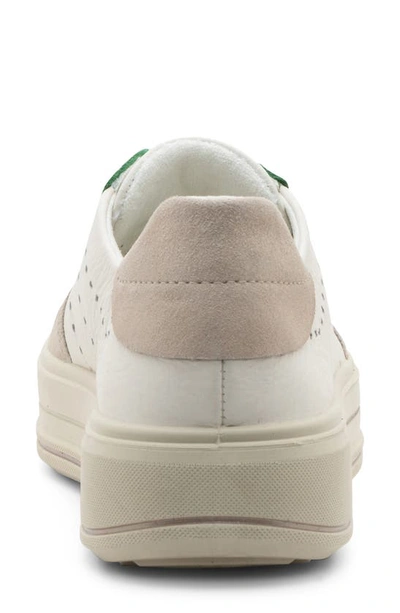 Shop Ara Calgary Platform Sneaker In Green