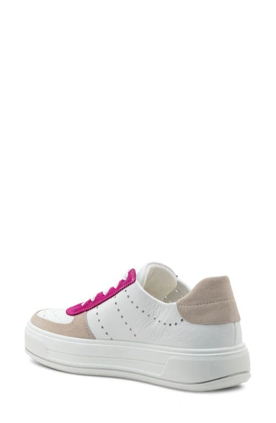 Shop Ara Calgary Platform Sneaker In Pink