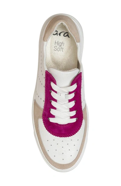 Shop Ara Calgary Platform Sneaker In Pink