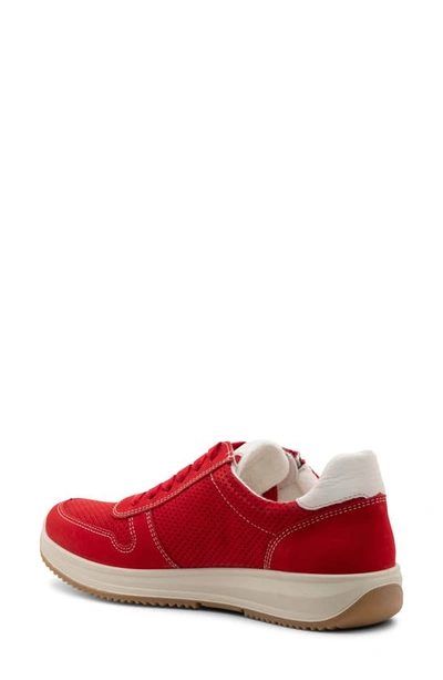 Ara Opal Zip Sneaker In Red