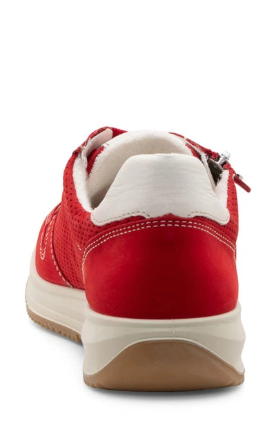 Ara Opal Zip Sneaker In Red