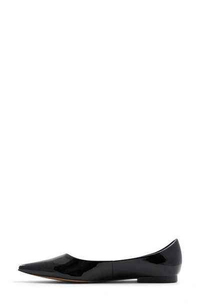 Shop Aldo Stessy Pointed Toe Flat In Black