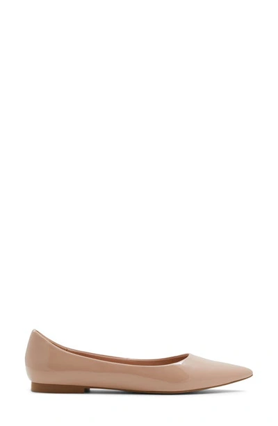 Shop Aldo Stessy Pointed Toe Flat In Bone