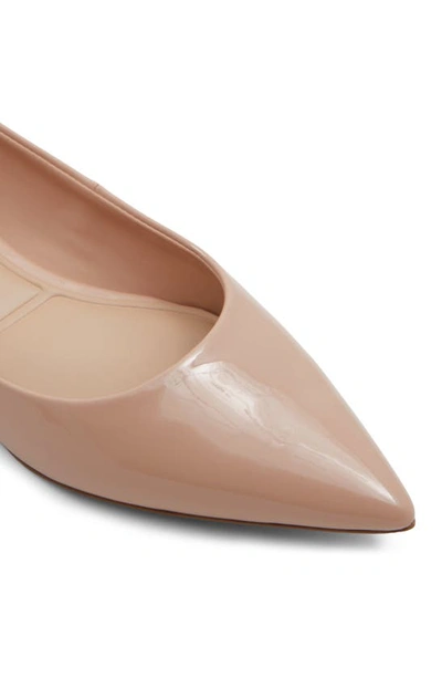 Shop Aldo Stessy Pointed Toe Flat In Bone