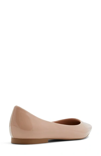 Shop Aldo Stessy Pointed Toe Flat In Bone