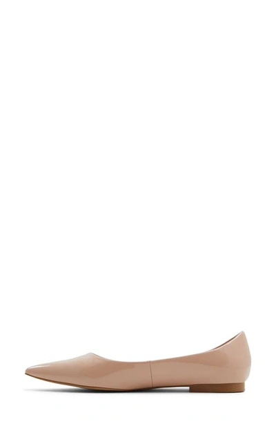 Shop Aldo Stessy Pointed Toe Flat In Bone