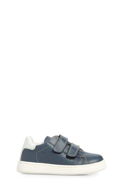 Shop Naturino Hasselt Sneaker In Navy