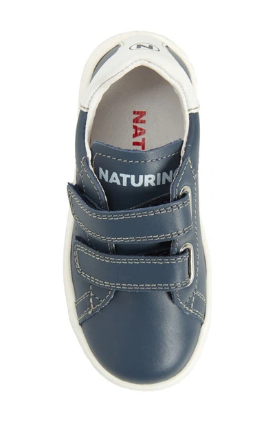 Shop Naturino Hasselt Sneaker In Navy