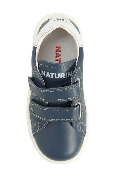 Naturino Hasselt Sneaker In Navy