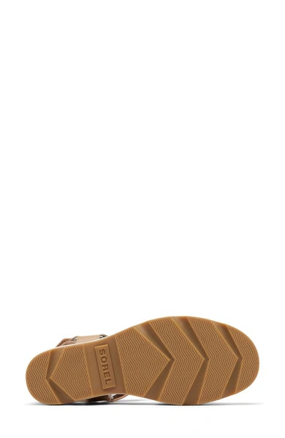 Shop Sorel Joanie Iv Ankle Strap Platform Wedge Sandal In Honest Beige/ Gum