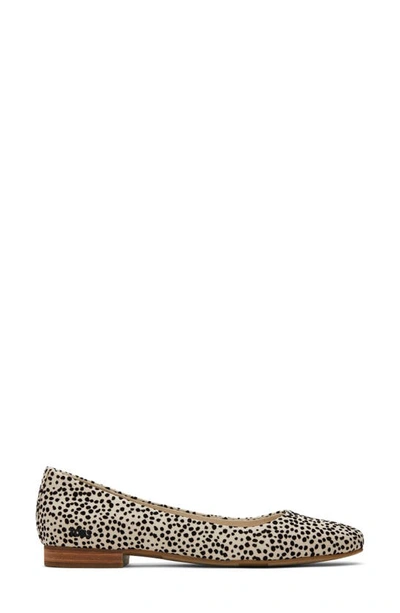 Toms Briella 10020817 Ballet Flat Women 7 Beige Cheetah Print Square Toe Khd1485 In Animal Print