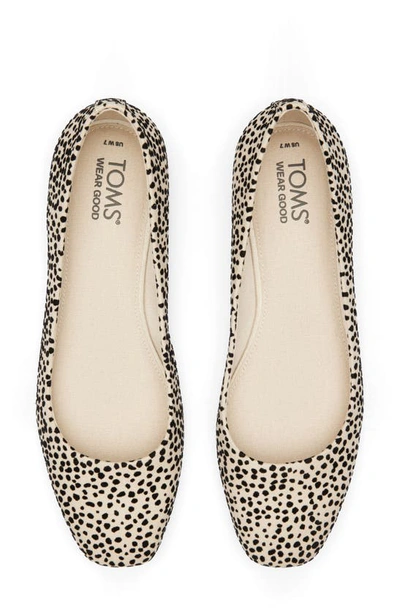 Toms Briella 10020817 Ballet Flat Women 7 Beige Cheetah Print Square Toe Khd1485 In Animal Print