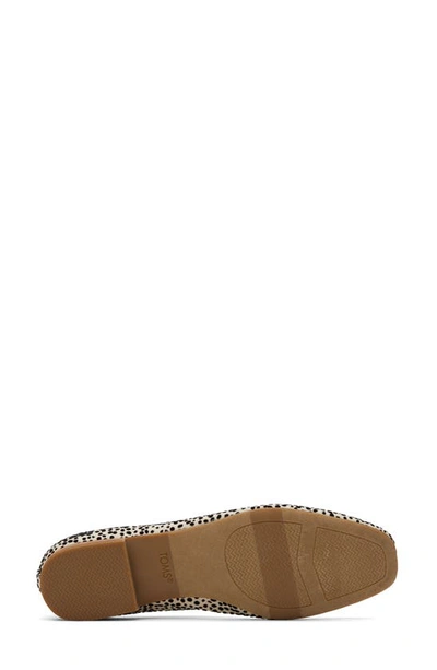 Toms Briella 10020817 Ballet Flat Women 7 Beige Cheetah Print Square Toe Khd1485 In Animal Print