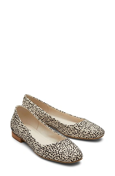 Toms Briella 10020817 Ballet Flat Women 7 Beige Cheetah Print Square Toe Khd1485 In Animal Print