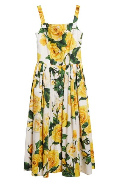 Shop Dolce & Gabbana Rose Print Pleated Cotton Midi Dress In Ha3qdrose Gialle F.b.nat