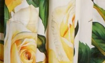 Shop Dolce & Gabbana Rose Print Pleated Cotton Midi Dress In Ha3qdrose Gialle F.b.nat