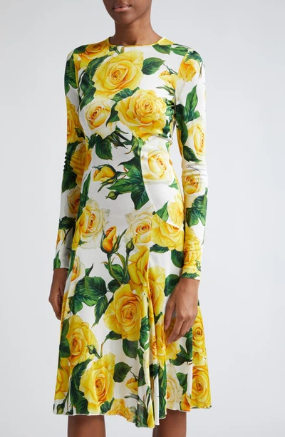 Shop Dolce & Gabbana Rose Print Long Sleeve Dress In Rose Gialle