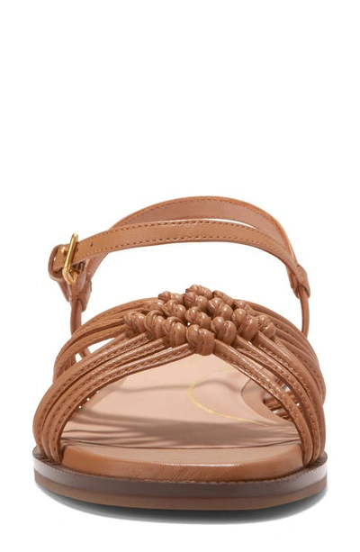 Shop Cole Haan Jitney Sandal In Pecan Leather