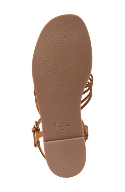 Shop Cole Haan Jitney Sandal In Pecan Leather