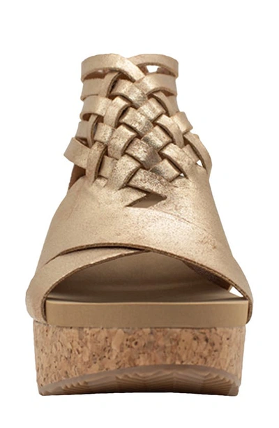 Shop Volatile Midsummer Water Resistant Wedge Sandal In Gold