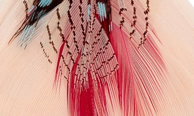 Shop Gas Bijoux Bermude Feather Hoop Earrings In Pink Mix