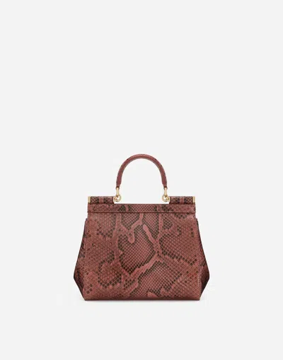 Dolce & Gabbana Borsaspalla-tracolla In Pink