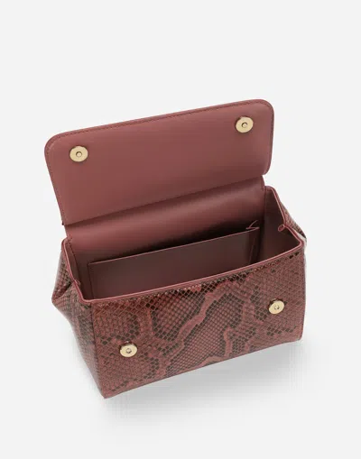 Dolce & Gabbana Borsaspalla-tracolla In Pink