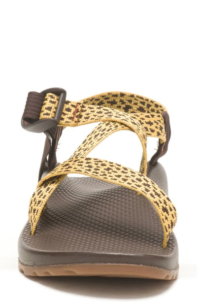 Shop Chaco Z/1 Classic Sport Sandal In Dappled Ochre