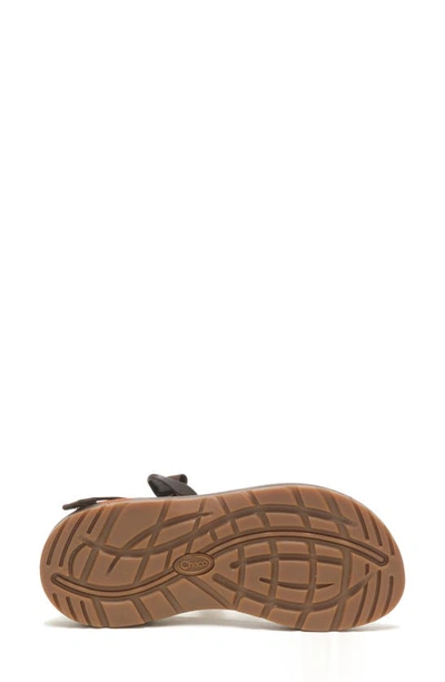 Shop Chaco Z/1 Classic Sport Sandal In Dappled Ochre