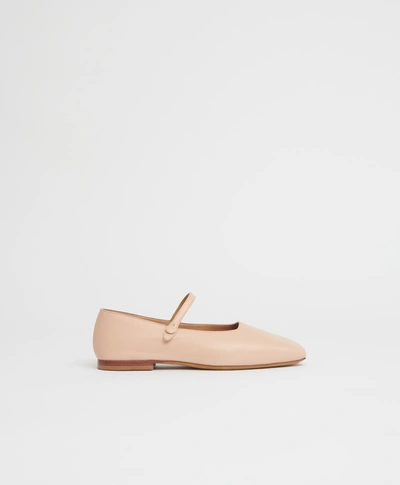 Shop Mansur Gavriel Square Toe Mary Jane In Ballet