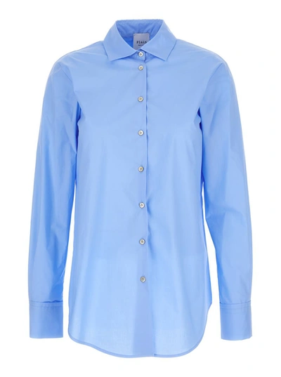 Shop Plain Light-blue Classic Shirt In Cotton Woman