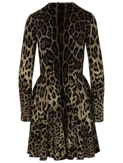 Shop Dolce & Gabbana Black Nylon One-piece Swimsuit In Brown