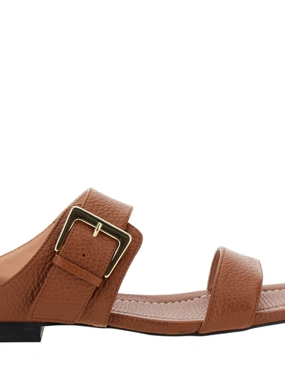 Shop Pollini Brown Sandals With Maxi Buckle In Leather Woman